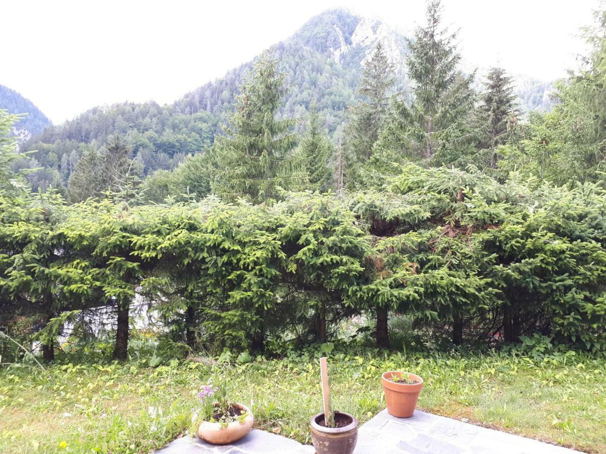 Holiday House Jasna Kranjska Gora Zewnętrze zdjęcie